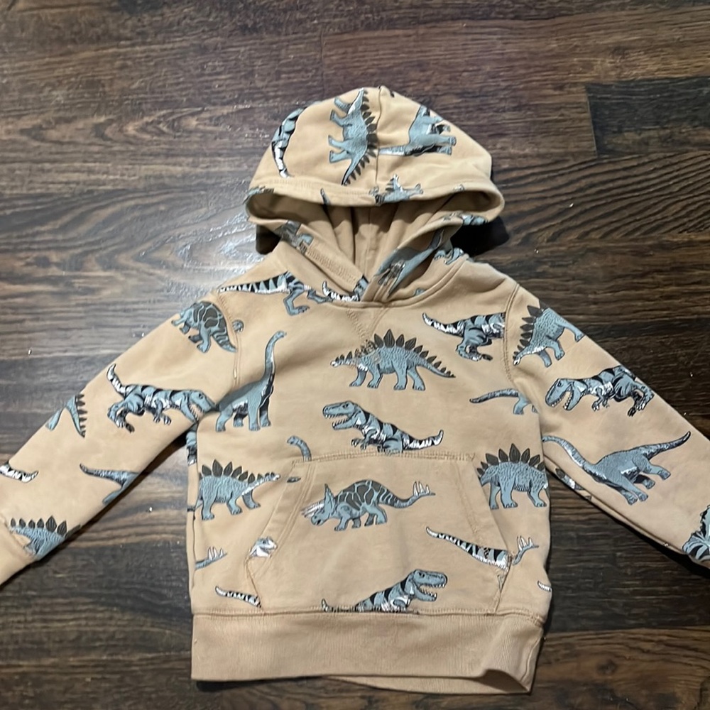 Dinosaur hoodie size 2T